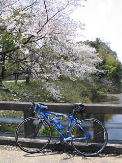 photo-070408-1