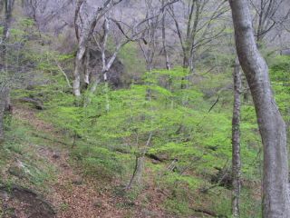 photo-070422-5