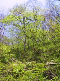 photo-070501-2