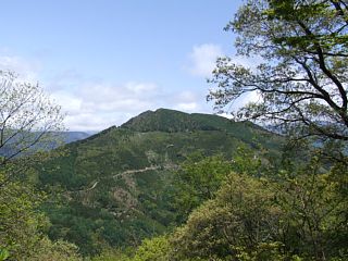 photo-070520-2