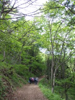 photo-070520-3