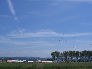 photo-070603-4