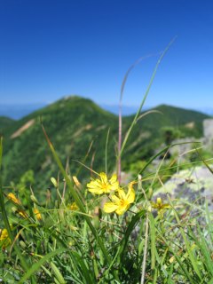 photo-070724-4