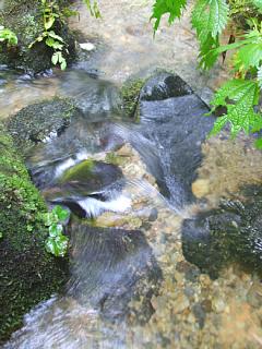 photo-070816-4