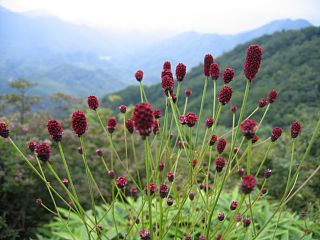 photo-070825-1