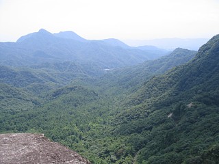 photo-070825-4