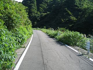 photo-070917-5