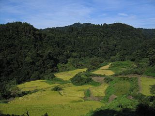 photo-070917-6