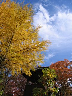 Photo-071104-1