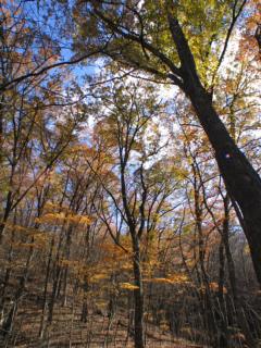 Photo-071123-10