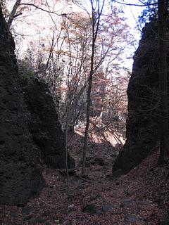 Photo-071123-2