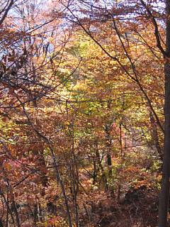Photo-071123-7
