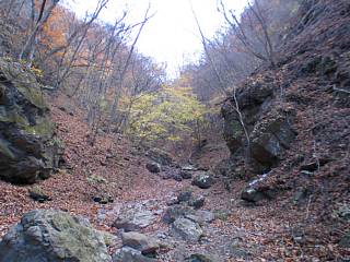 Photo-071123-9