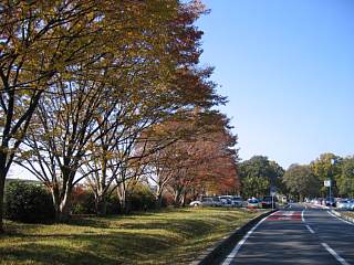 Photo-071125-4