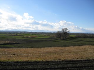 photo-071231-3