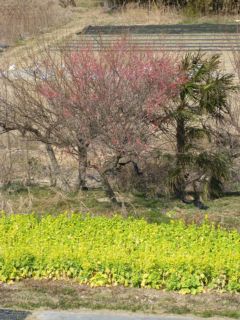photo-080301-1