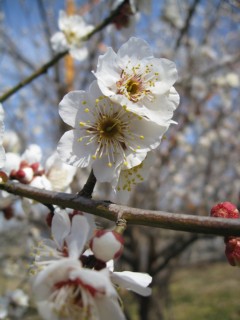 photo-080302-6