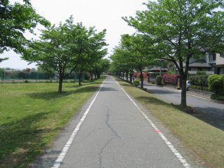 photo-080316-2