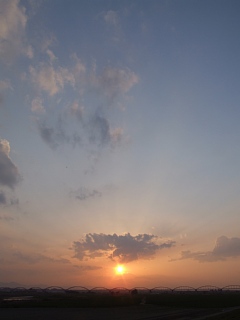 Photo-080403-2