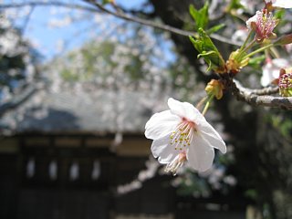 Photo-080405-3