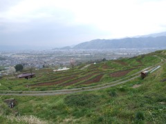 photo-080426-3