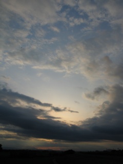 photo-080503-4