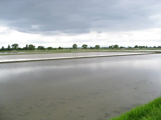 photo-080504-1