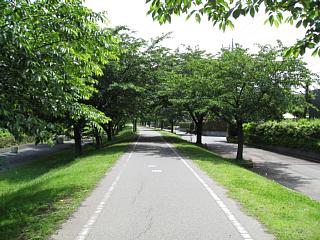photo-080601-2