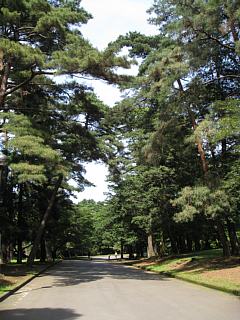 photo-080601-7
