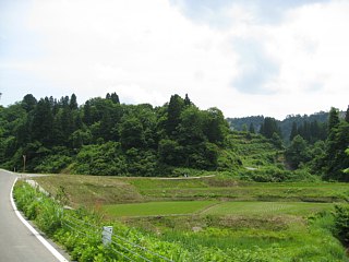 photo-080608-4