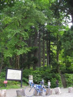 photo-080608-5
