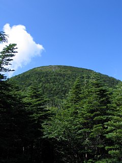 photo-080812-1