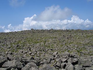 photo-080812-4