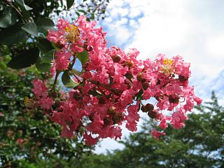 photo-080902-1