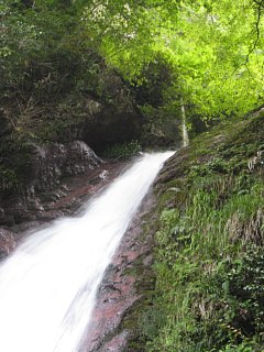 photo-080907-6