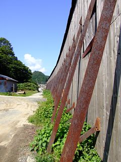 photo-080917-4