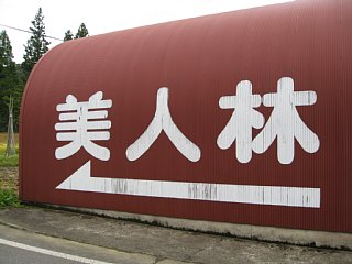 photo-080923-3