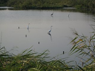 photo-081004-10