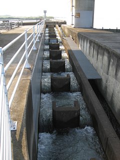 photo-081004-4