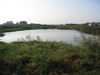photo-081004-9