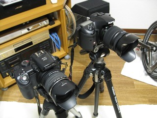 photo-081009-5