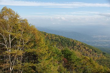 photo-081011-2
