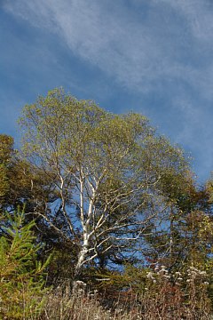 photo-081011-4