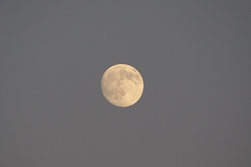 photo-081013-7