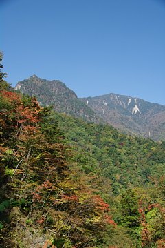 photo-081018-2