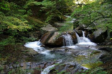 photo-081018-4