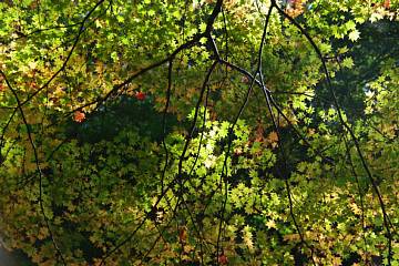 photo-081019-3