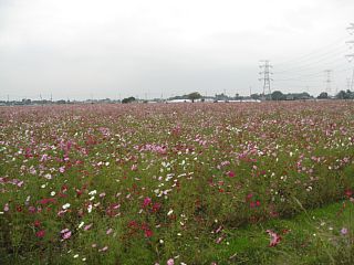 photo-081025-1