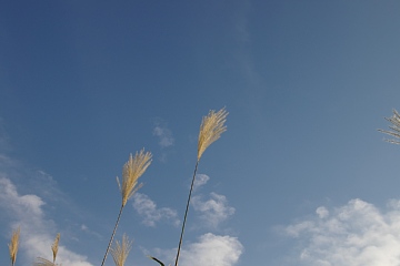photo-081102-10