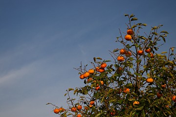 photo-081102-11